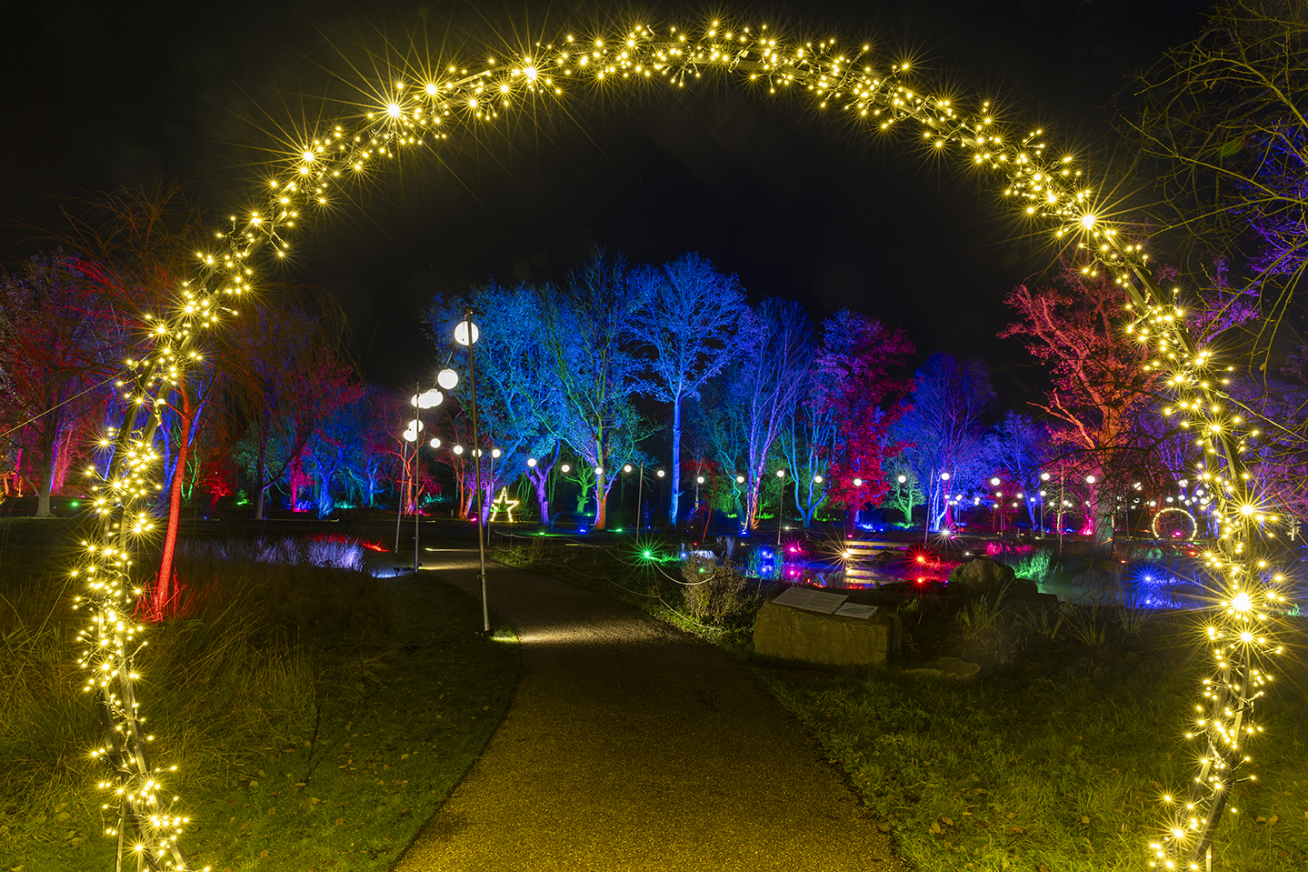 Glow, Bridgewater, Garden, Lights