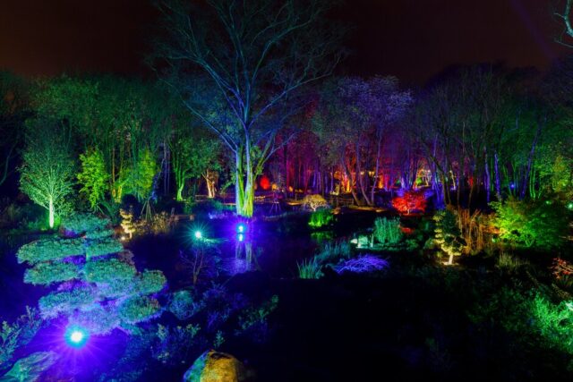Glow, Bridgewater, Garden, Lights