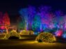 Glow, Bridgewater, Garden, Lights