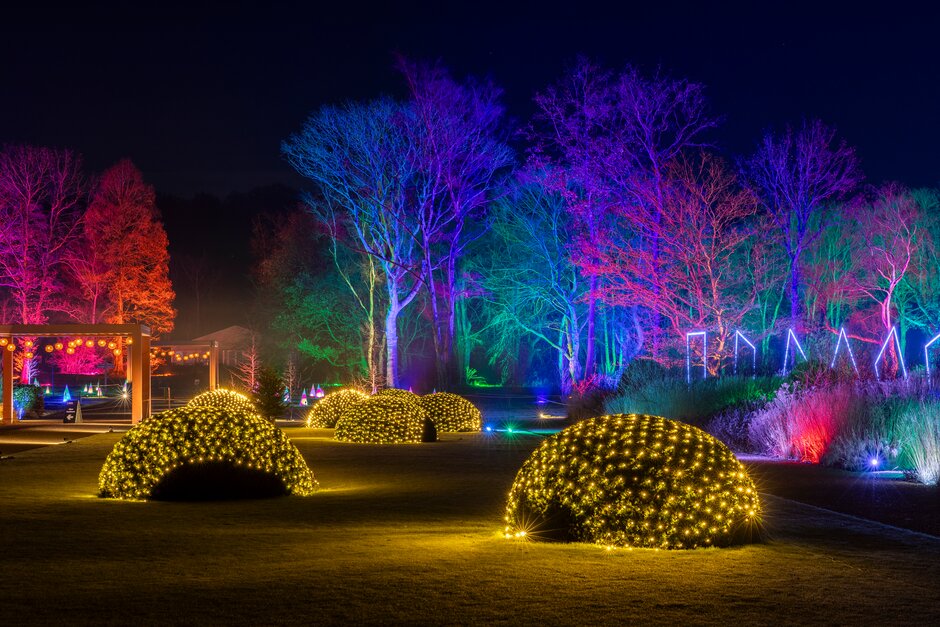 Glow, Bridgewater, Garden, Lights
