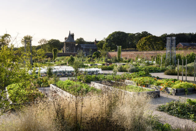 The Kitchen Garden in summer at RHS Garden Bridgewater