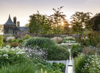 The Paradise Garden in summer at RHS Garden Bridgewater