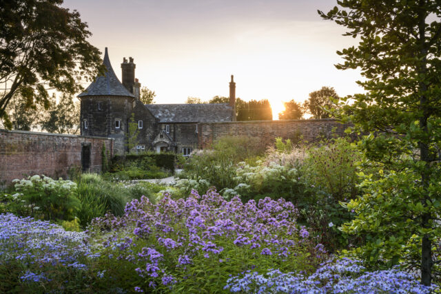 The Paradise Garden in summer at RHS Garden Bridgewater