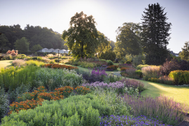 The Main Borders in summer at RHS Garden Harlow Carr