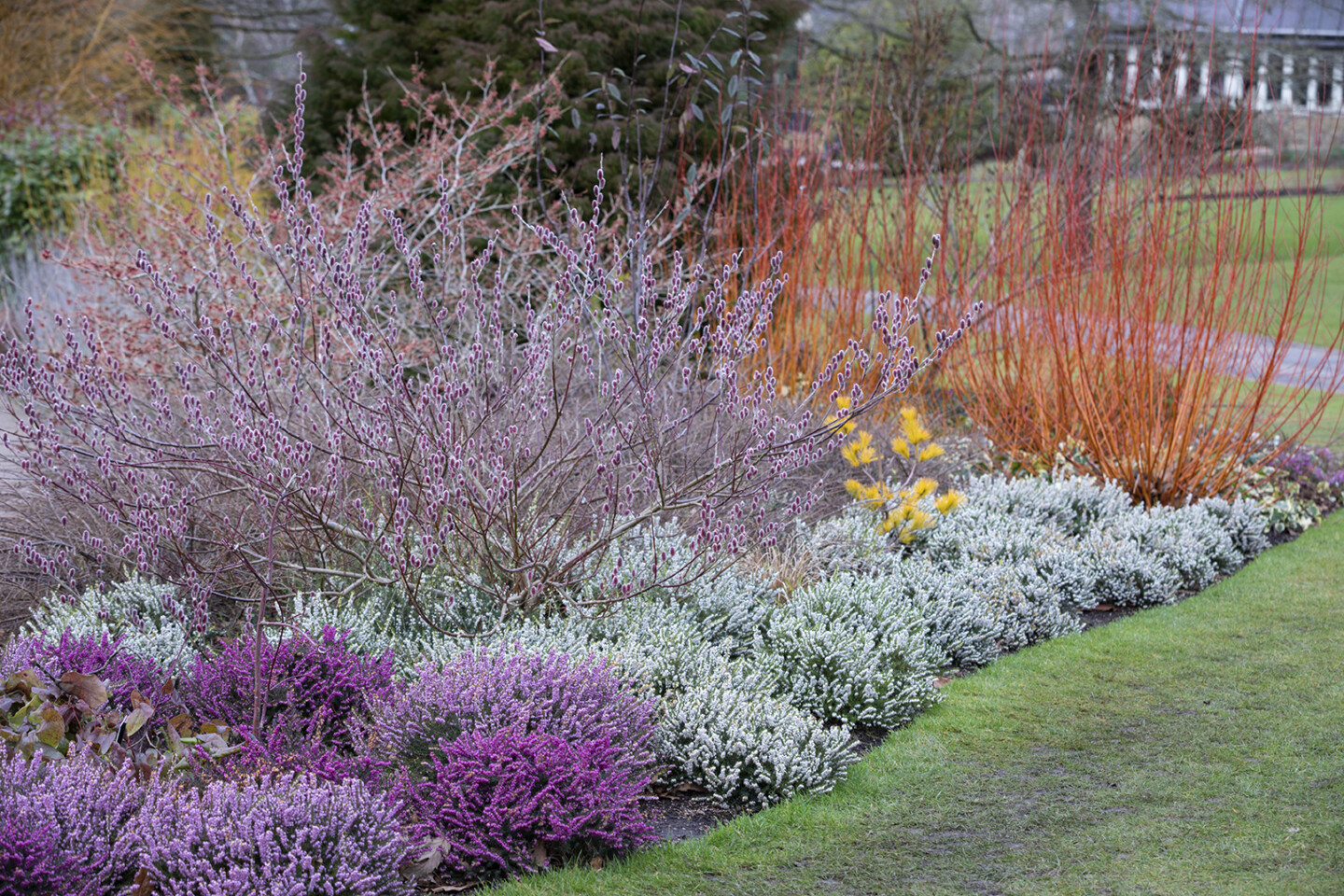 RHS Garden Harlow Carr in winter