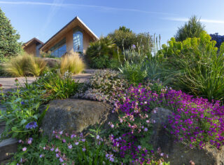 The Dry Garden in spring at RHS Garden Hyde Hall