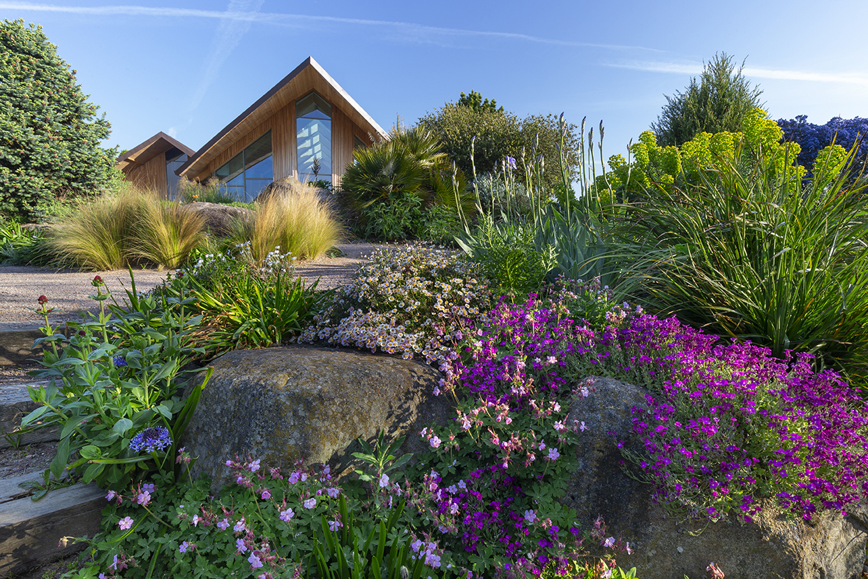 The Dry Garden in spring at RHS Garden Hyde Hall