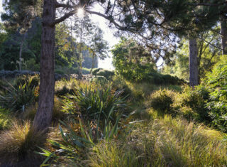 Australia and New Zealand Garden in summer at RHS Garden Hyde Hall