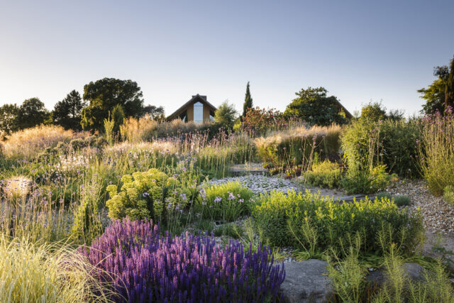 RHS Garden Hyde Hall Summer Dry Garden