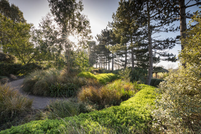 Australia and New Zealand Garden in winter at RHS Garden Hyde Hall