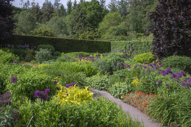 RHS Garden Rosemoor, spring, Hot Garden