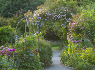 RHS Garden Rosemoor, summer, Cottage Garden