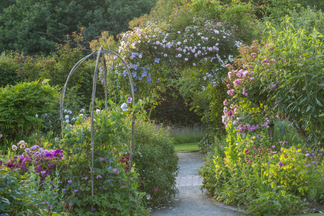 RHS Garden Rosemoor, summer, Cottage Garden