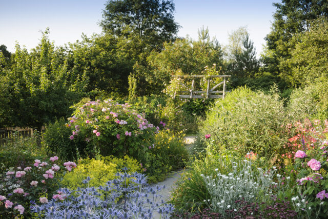 RHS Garden Rosemoor, summer, Cottage Garden