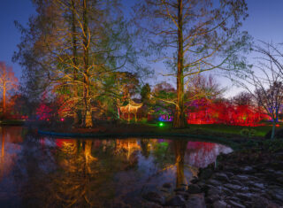 Glow at RHS Garden Wisley