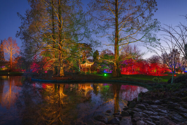 Glow at RHS Garden Wisley