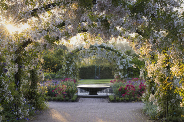 RHS Garden Wisley in summer
