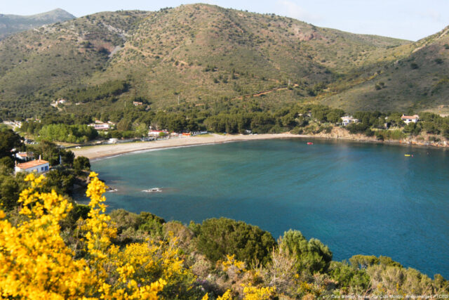 Panoramic view of the bay in Roses