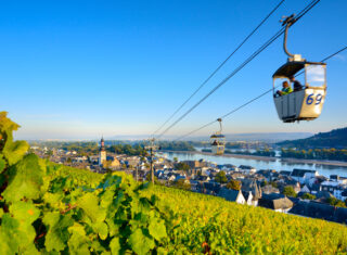 View of Rüdesheim am Rhein and the surrounding vineyards