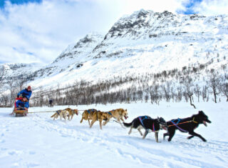 Dog Sledding in snowy mountains