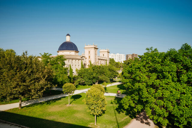Museum of Fine Arts amongst trees