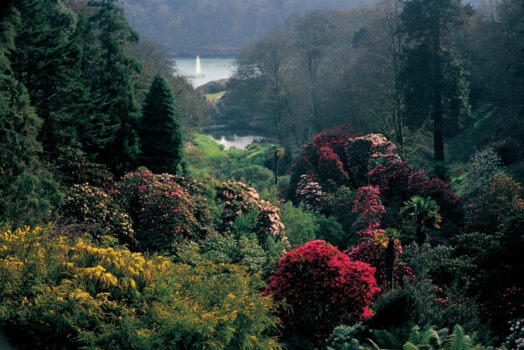 18 Trebah Gardens ©Trebah gardens - Copy