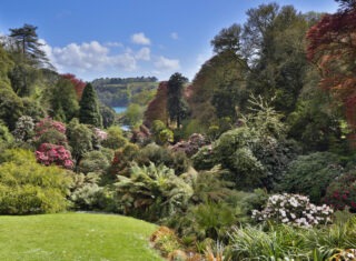 Trebah Gardens April ©David Chapman