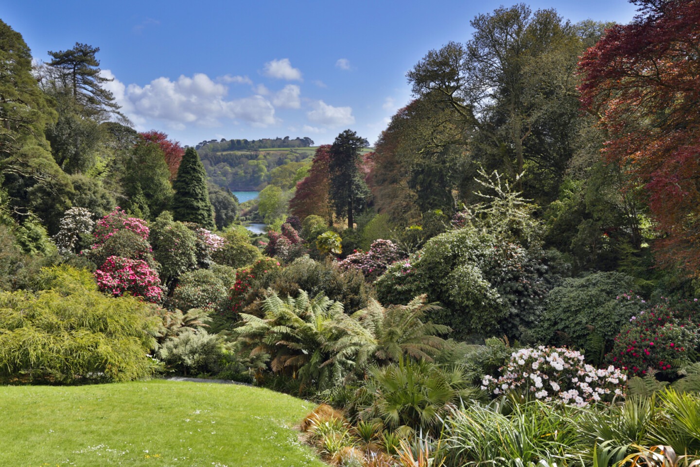 Trebah Gardens April ©David Chapman