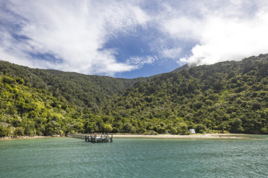 Marlborough Sounds, New Zealand