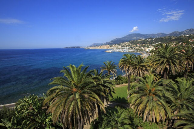 Coastline, Beach, Palm trees