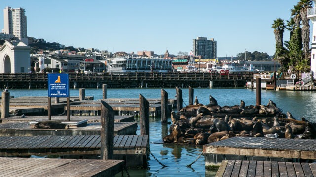 Pier, Water
