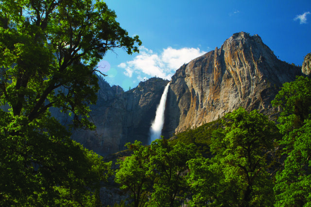 National Park, Trees, Waterfall