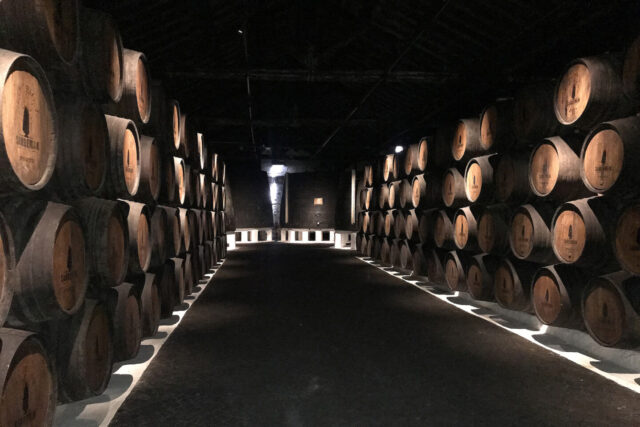 Port barrels in Porto