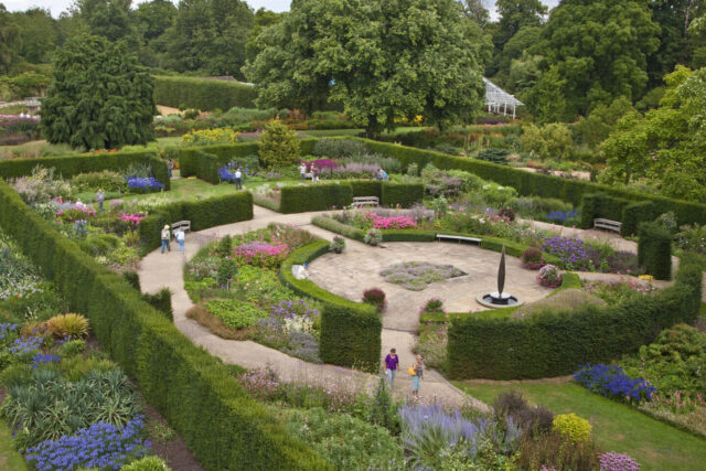The Golden Jubilee Garden at The Savill Garden