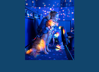 Guest at Animagique Theater, Toon Studio