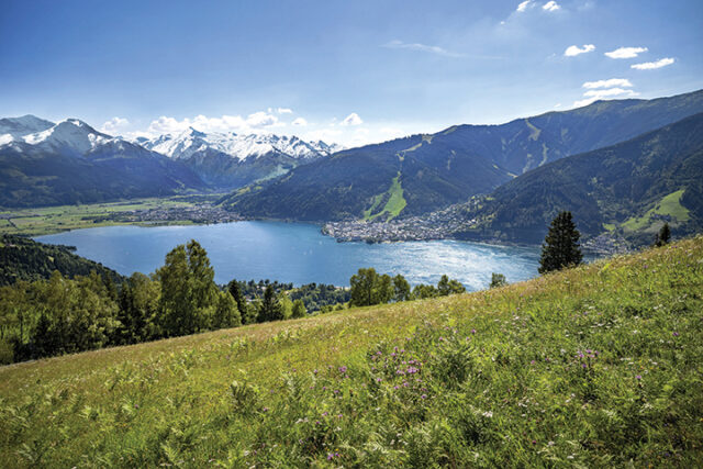 Zell am See lake and meadows