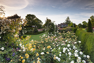 The Rose Garden at RHS Garden Hyde Hall