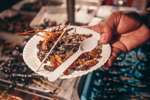 Bangkok, Thailand, Asia - Food-night market - Intrepid Travel - Real food adventure © Photography by Damien Raggatt-Intrepid Group-Source Intrepid Travel