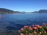 Camellias Aosta Baveno, Lake Maggoire - Italy. European travel