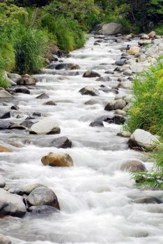 Panama, Chiriqui, Boquete, waterfall, nature, rainforest, NCN