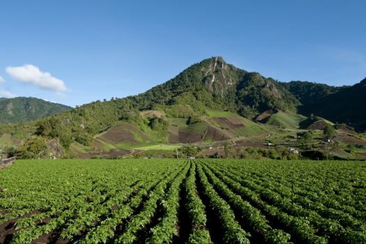 Panama, Chiriqui, Boquete, landscape, nature, © Owner www.panamajourneys.com