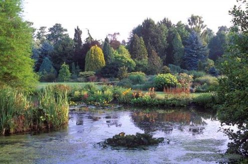 Bressingham Steam & Gardens, Norfolk - Foggy Bottom (NCN)