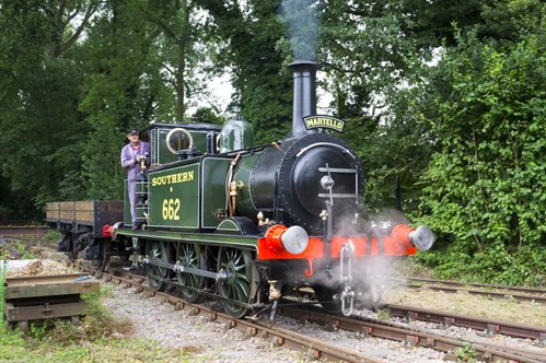 Bressingham Steam & Gardens, Norfolk - Martello driver experience (NCN)