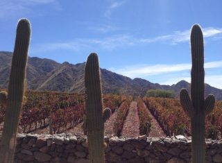 Cafayate (wine area) Salta, Central Argentina