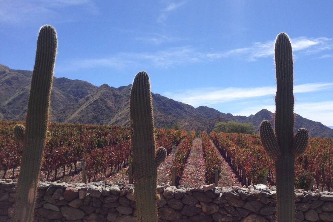 Cafayate (wine area) Salta, Central Argentina