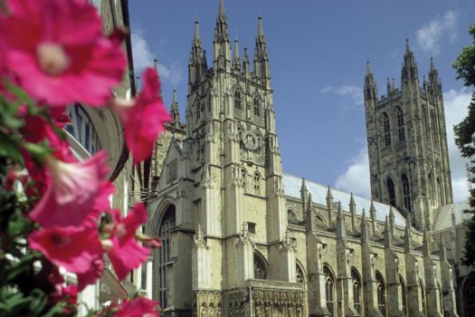 Canterbury cathedral - pink flowers, Kent ©Canterbury Cathedral