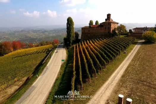 Cantine dei Marchesi di Barolo Winery, Piedmont, Italy (05) © Cantine dei Marchesi di Barolo Winery