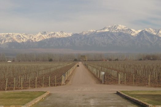 Catena Zapata Winery, Lujan de Cuyo, Mendoza