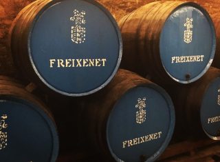 Cavas Freixenet, Catalonia - Cava Wine Barrels - Wine Tour