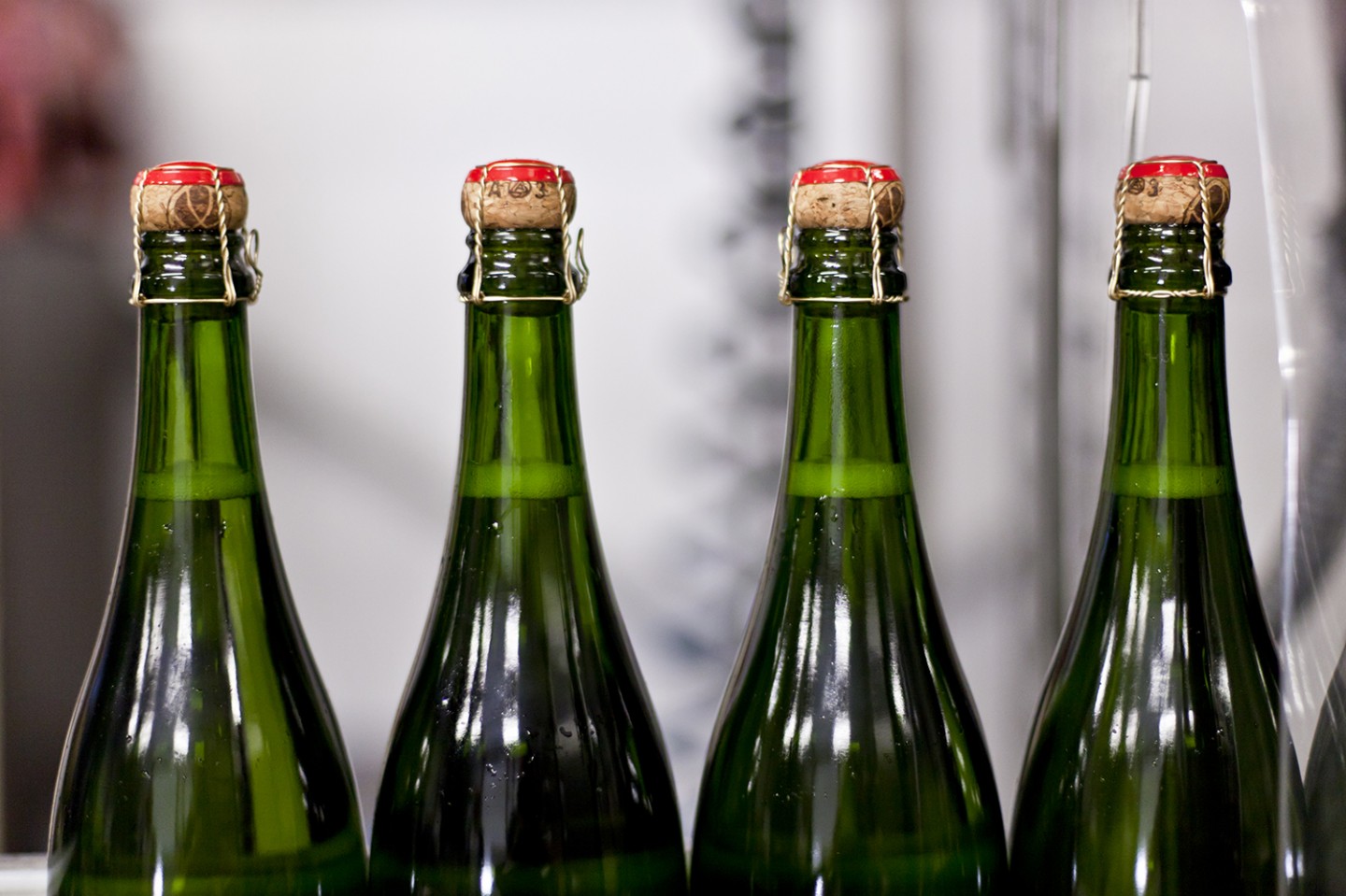 Chapel Down, Kent - Winery - Sparkling Wine Disgorgement